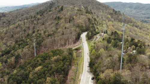 有关山, 旅行, 森林的免费素材视频