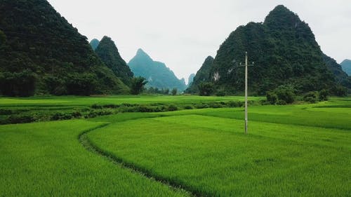 有关下田, 亚洲, 人的免费素材视频