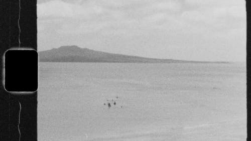 一群人在海水里游泳 · 免费素材视频