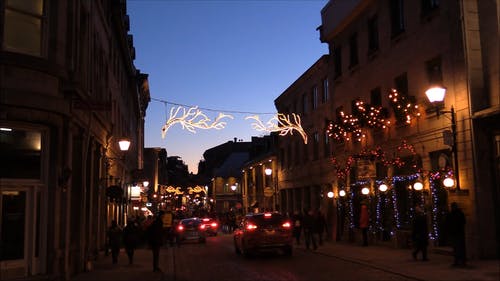 圣诞节在街上的人 · 免费素材视频