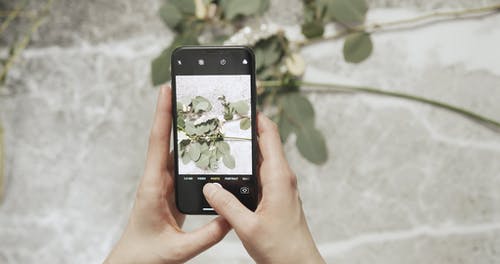 一位摄影师正在用她的手机拍照 · 免费素材视频