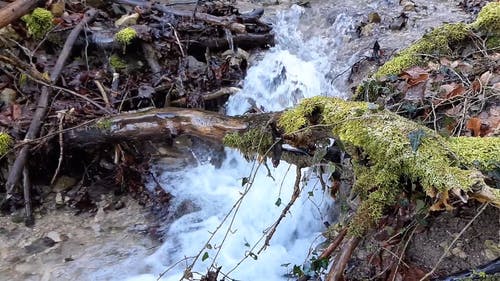 河里的水流的慢动作镜头 · 免费素材视频
