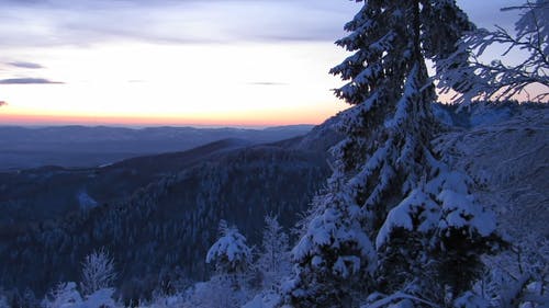 白雪覆盖的山林 · 免费素材视频