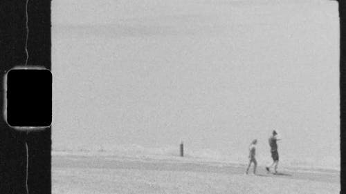 在湖上的老录像人活动 · 免费素材视频