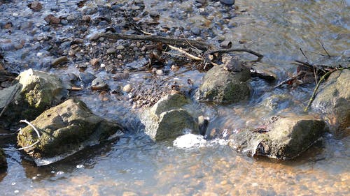 岩石打破一条溪的光滑水流 · 免费素材视频
