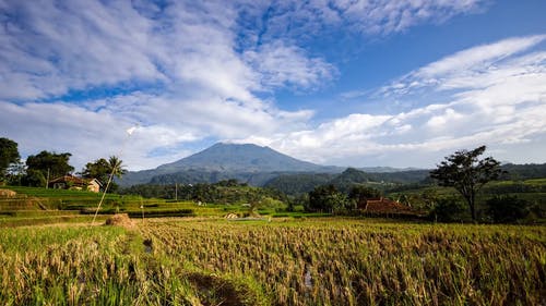 时间流逝的农场镜头 · 免费素材视频