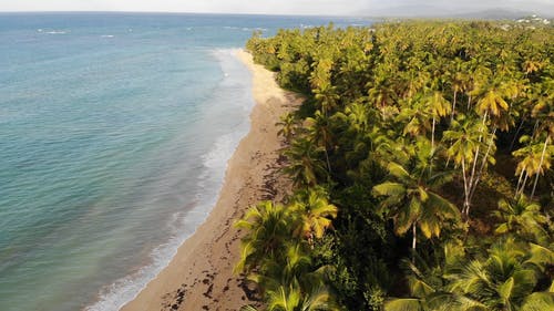 在多米尼加共和国的热带海滩的无人机画面 · 免费素材视频