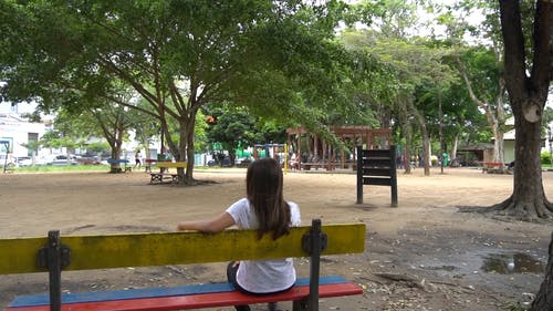 有关修理头发, 公园, 坐的免费素材视频