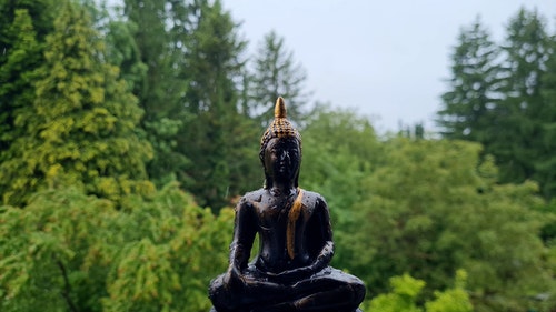 有关下雨,佛,佛教的免费素材视频