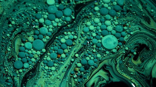 有关宏观, 慢动作, 抽象的免费素材视频