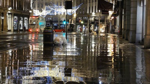在雨夜的伦敦空荡荡的街道 · 免费素材视频