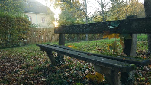 苔藓生长在私有财产的室外木制长凳上 · 免费素材视频