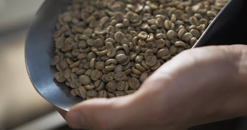 一勺生咖啡豆 · 免费素材视频