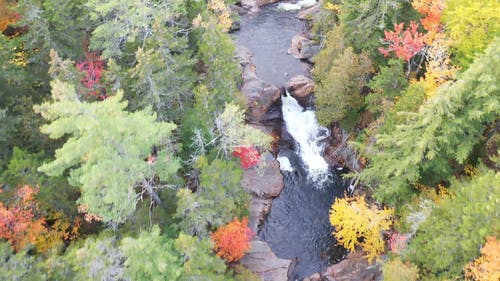无人驾驶飞机画面的秋天的树木被包围的河 · 免费素材视频