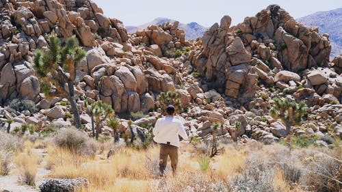 一个走向天然岩层的人 · 免费素材视频