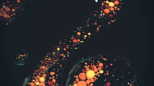 有关宏观, 慢动作, 抽象的免费素材视频