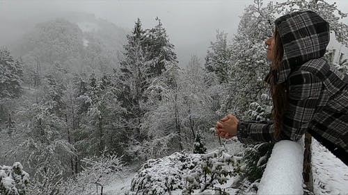 有关下雪的, 享受, 冬季的免费素材视频