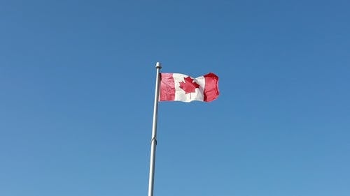 随风摇曳的加拿大国旗 · 免费素材视频