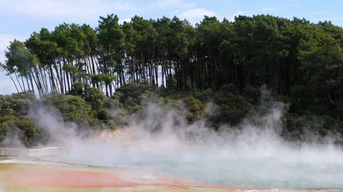 森林旁的温泉度假村 · 免费素材视频