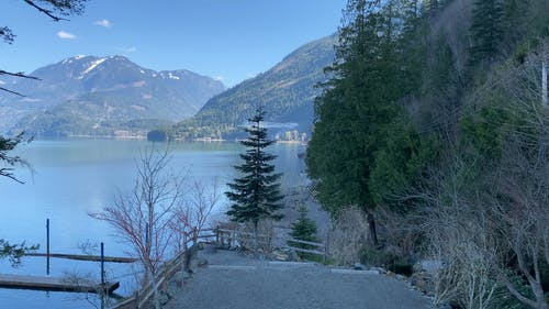 有关天性, 山背景, 户外的免费素材视频
