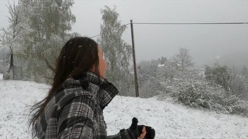 有关下雪的, 享受, 冬季的免费素材视频
