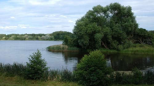 有关天空, 树木, 水的免费素材视频