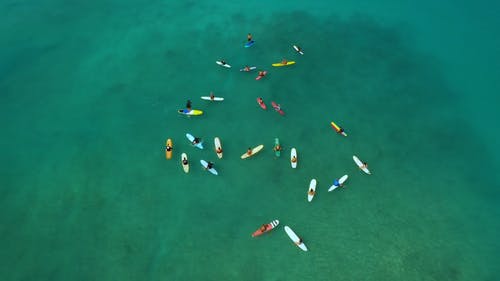 有关冲浪女孩, 划桨, 夏威夷的免费素材视频