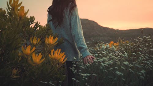 有关在日落时走的女人, 女人走路, 户外探险的免费素材视频