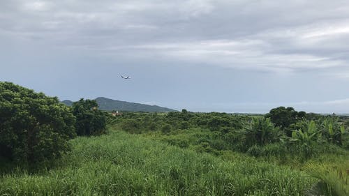 有关天性, 天空, 旅行的免费素材视频