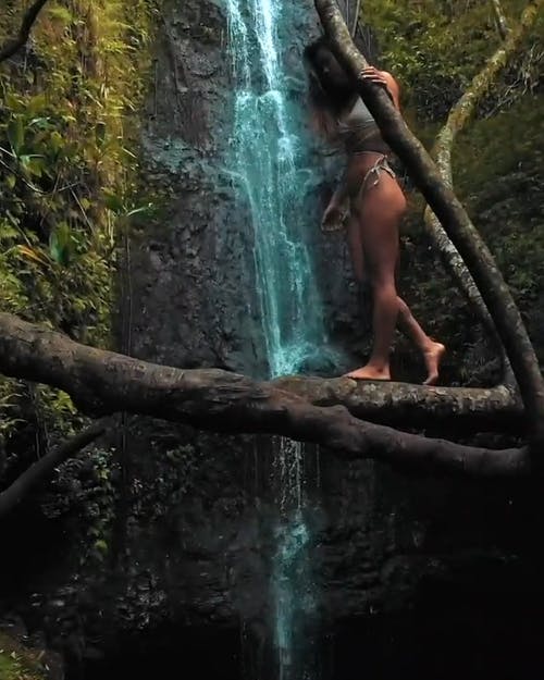 一个穿着泳装的女人走在树干上 · 免费素材视频