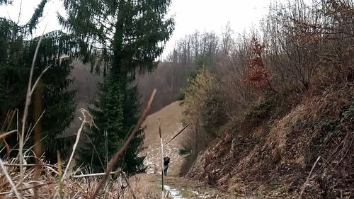 一个女人和她的爱犬在山坡上奔跑 · 免费素材视频