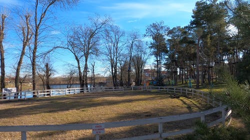 有关天性, 户外, 日光的免费素材视频