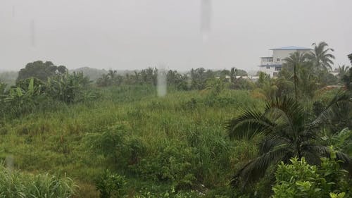 有关@户外, 下雨, 下雨天的免费素材视频