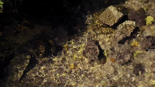 有关岩石, 招手, 水的免费素材视频