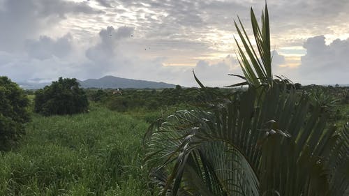 有关天性, 天空, 延时视频的免费素材视频