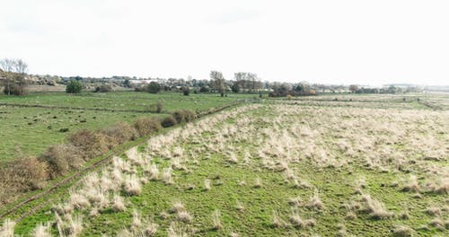农业用地的鸟瞰图 · 免费素材视频