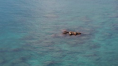 在水体中间的一块岩石 · 免费素材视频