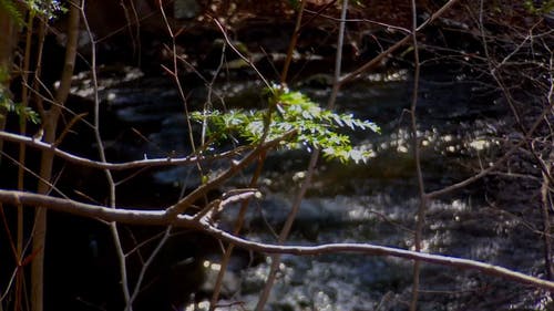 有关分公司, 工厂, 户外的免费素材视频
