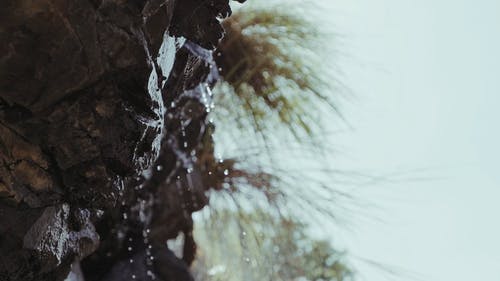 有关假期, 印度, 天性的免费素材视频