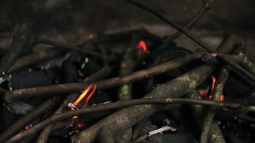 有关慢动作, 柴火, 火焰的免费素材视频