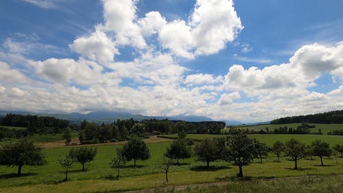 有关4k, 增长, 夏天的免费素材视频