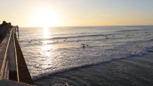 董事会步行中的人们正在看着冲浪者骑着海浪 · 免费素材视频