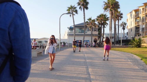 有关户外, 早上, 棕榈树的免费素材视频