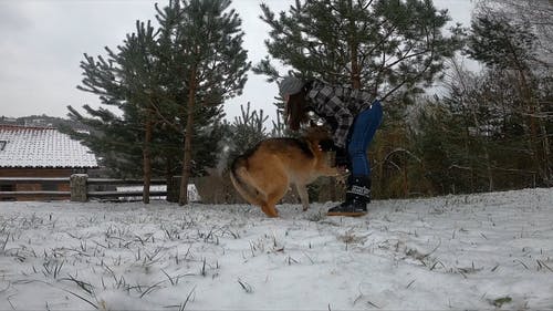 有关冬季, 冷, 大雪覆盖的免费素材视频