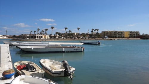 有关交通系统, 埃及, 埃尔古纳的免费素材视频