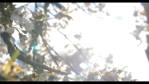 有关分支机构, 宏观, 工厂的免费素材视频