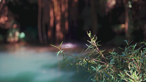 有关工厂, 户外, 日光的免费素材视频