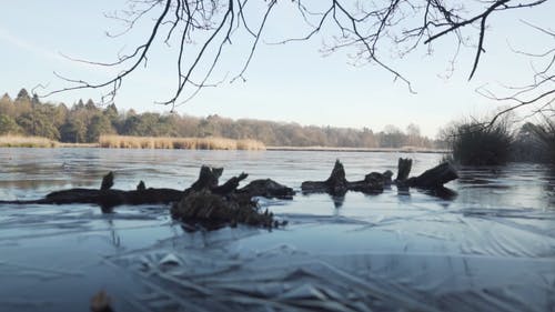 冰冻的河 · 免费素材视频