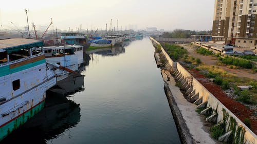 渔船停靠在海港 · 免费素材视频