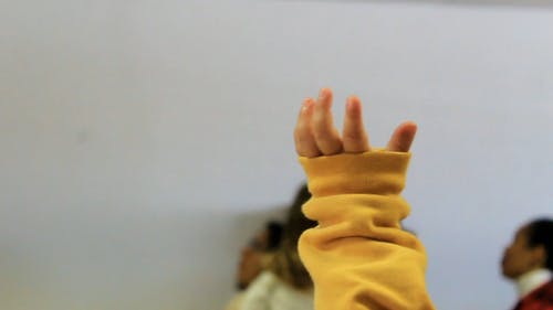 有关举手, 人群, 宝宝的手的免费素材视频